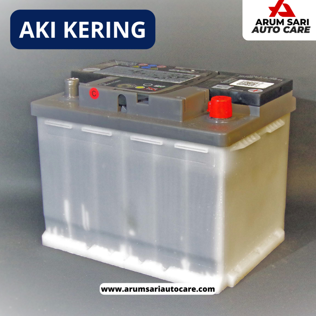 Jenis aki