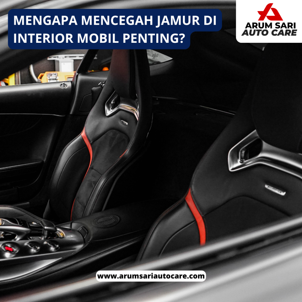 Mencegah Jamur di Interior Mobil