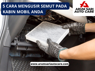 Mengusir Semut