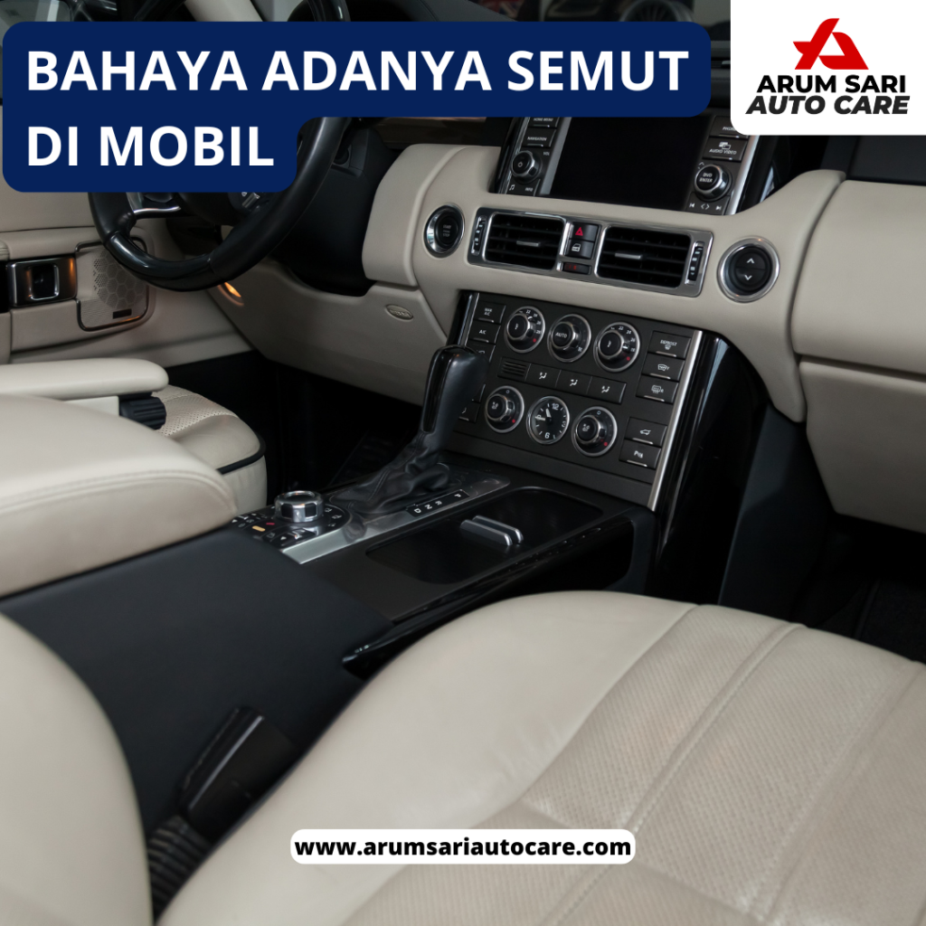 Mengusir Semut
