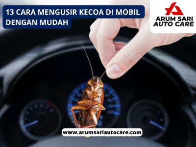 Cara Mengusir Kecoa